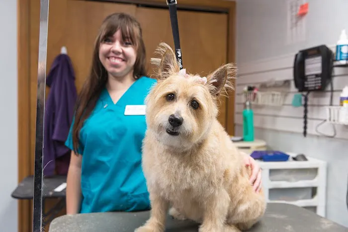 Seidl Veterinary Hospital 4