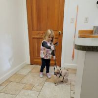 Bull Creek Veterinary Service ico