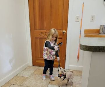 Bull Creek Veterinary Service