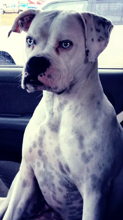 Bull Creek Veterinary Service 3