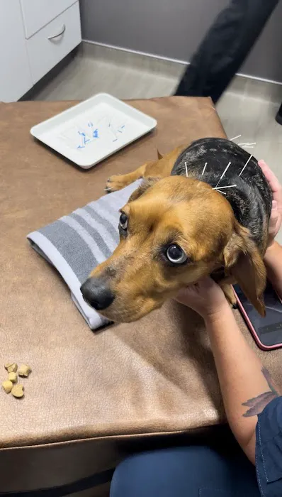 Paw Paw Veterinary Clinic 3