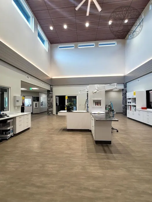 Paw Paw Veterinary Clinic 6