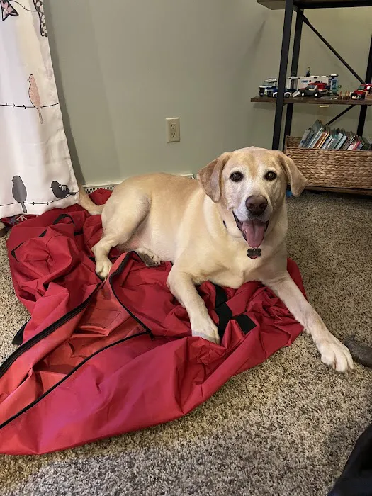 Paw Paw Veterinary Clinic 8