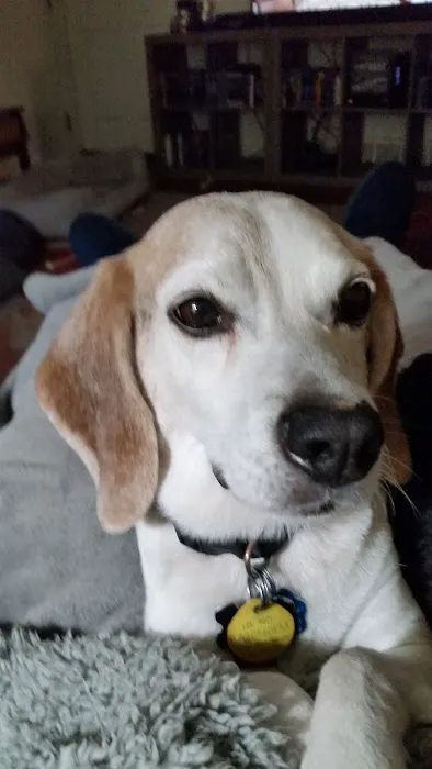 Family Pet Health Center: Crookes-Vought Kathy DVM 4