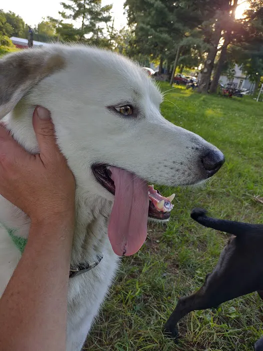 Mattawan Animal Hospital 4