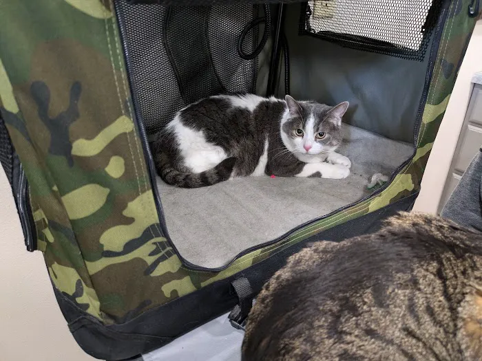 Mattawan Animal Hospital 6