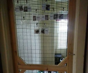 Cat Nap Lodge Community Center