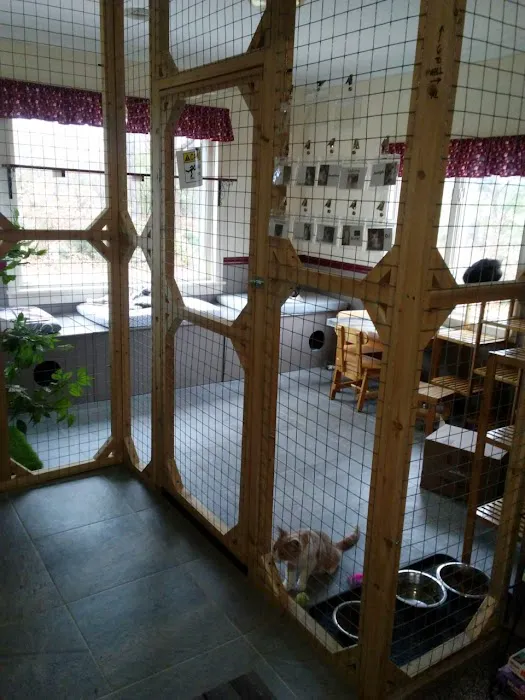 Cat Nap Lodge Community Center 7