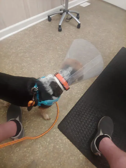 VCA Richland Animal Hospital 5