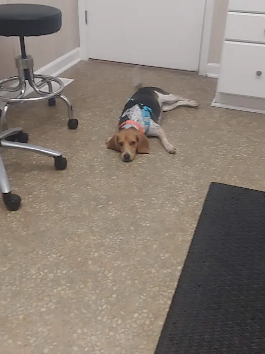 VCA Richland Animal Hospital 6