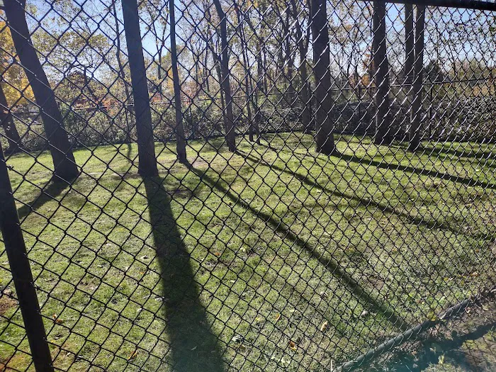 Richland Animal Hospital: Tittle A DVM 1