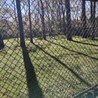Richland Animal Hospital: Tittle A DVM ico