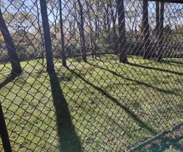 Richland Animal Hospital: Tittle A DVM