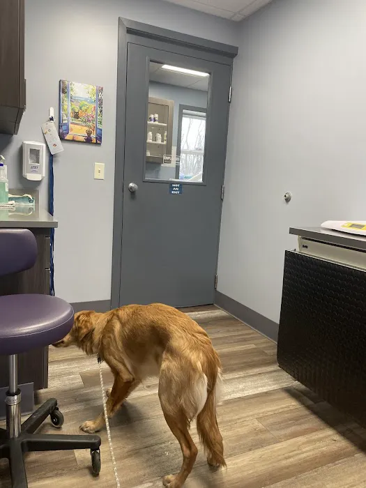 Animal Clinic Gull Road 2