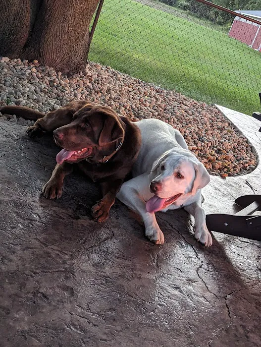 Gull Lake Animal Hospital 8