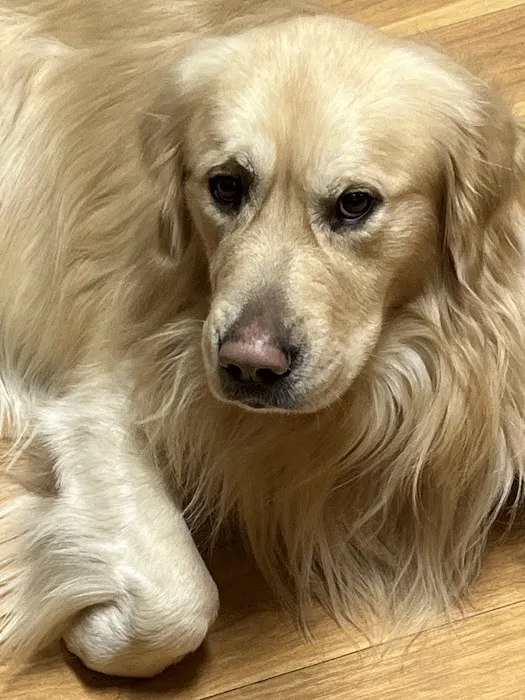 Gull Lake Animal Hospital 4