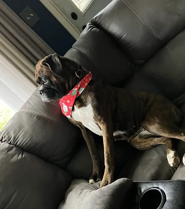 Gull Lake Animal Hospital 5