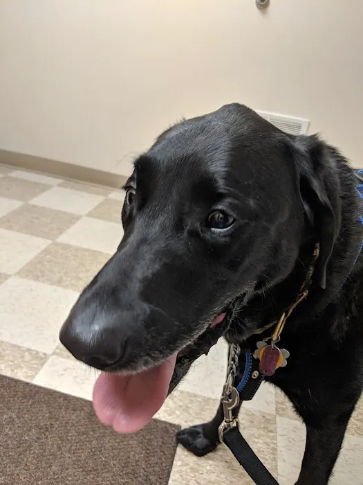 Gull Lake Animal Hospital 3