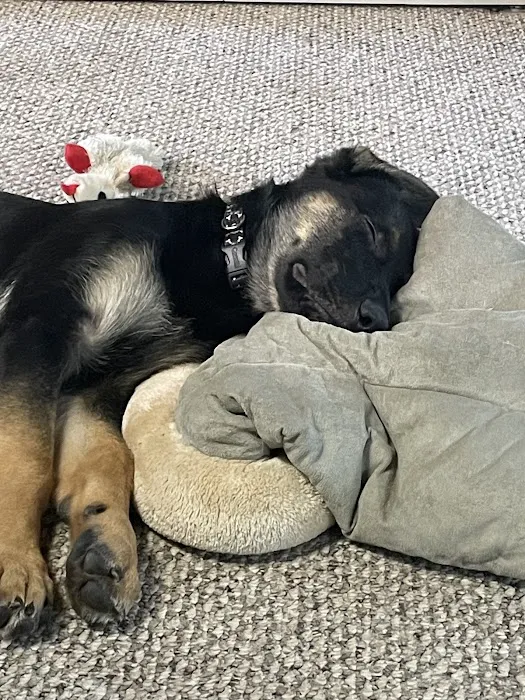 Gull Lake Animal Hospital 7