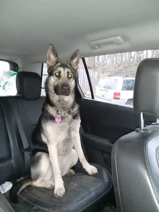 Gull Lake Animal Hospital 6