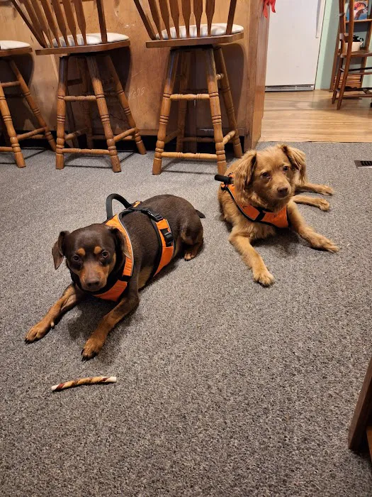 Broadway Veterinary Clinic 10