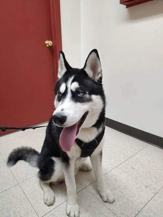 Broadway Veterinary Clinic 2