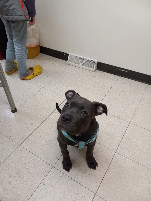 Broadway Veterinary Clinic 5