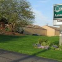 Oakwood Animal Hospital ico