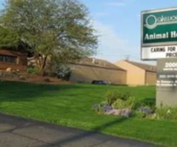 Oakwood Animal Hospital