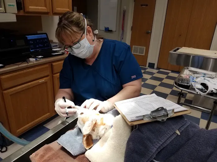 Kalamazoo Animal Hospital PC 5