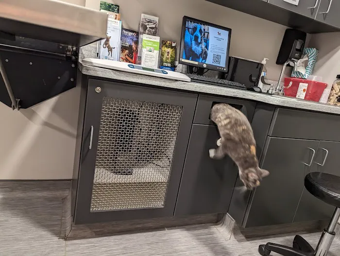Kalamazoo Animal Hospital PC 7