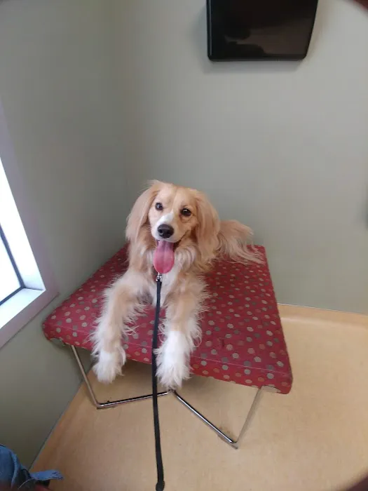 Friendship Animal Hospital 1