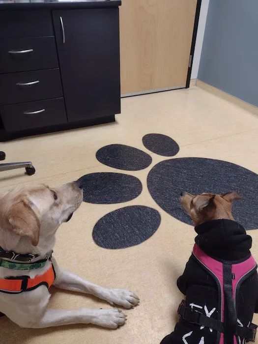 Friendship Animal Hospital 2