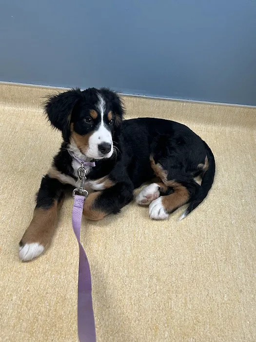 Friendship Animal Hospital 5