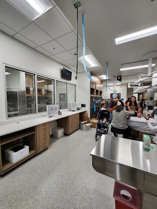VCA Veterinary Specialty & Emergency Center of Kalamazoo 2