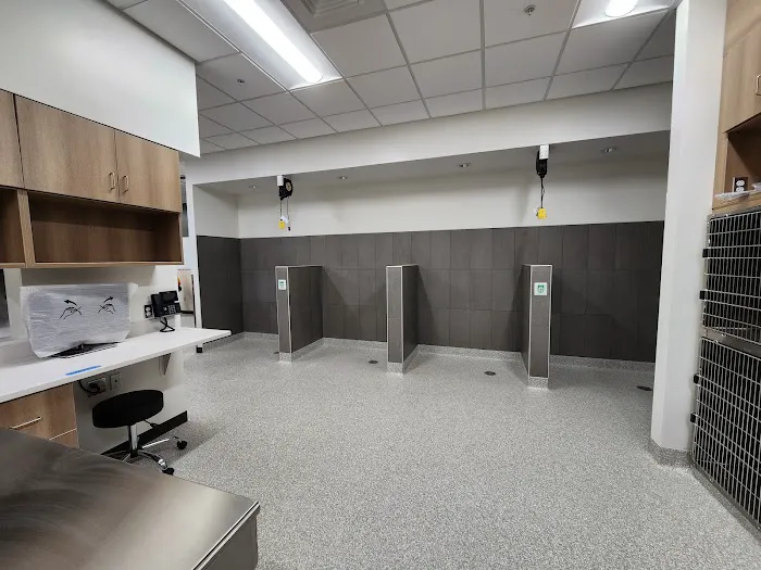 VCA Veterinary Specialty & Emergency Center of Kalamazoo 6