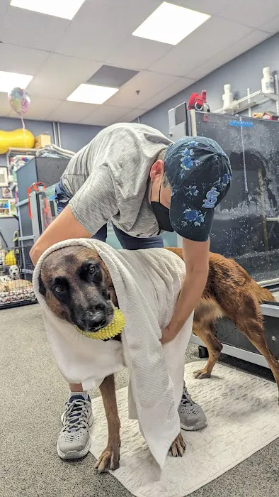 Healing Paws 5