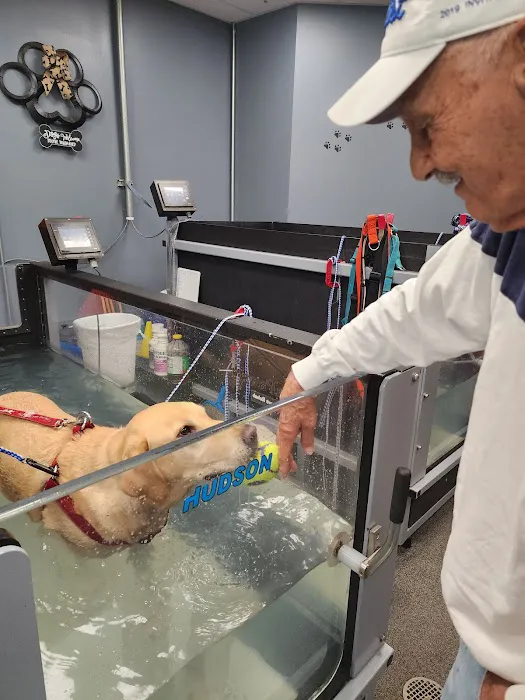 Healing Paws 8