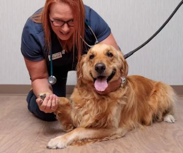 Fox Creek Veterinary Hospital at Manchester Avenue