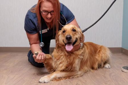 Fox Creek Veterinary Hospital at Manchester Avenue