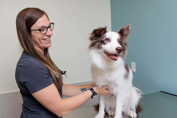 Fox Creek Veterinary Hospital at Manchester Avenue 2