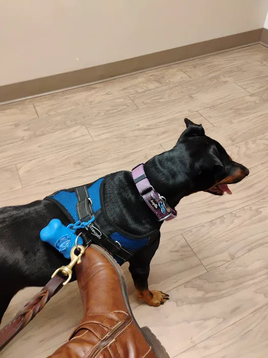 Fox Creek Veterinary Hospital at Manchester Avenue 7