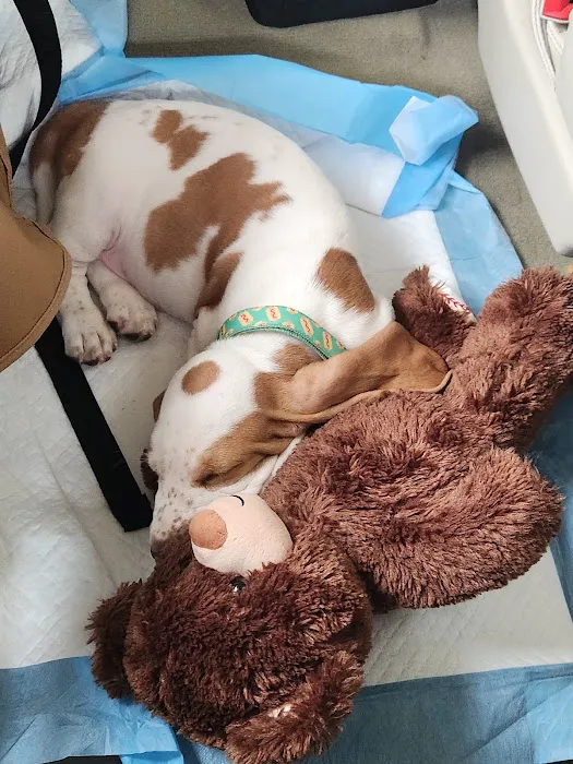Banfield Pet Hospital 12