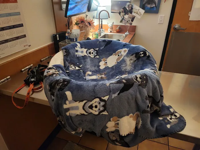 Banfield Pet Hospital 12
