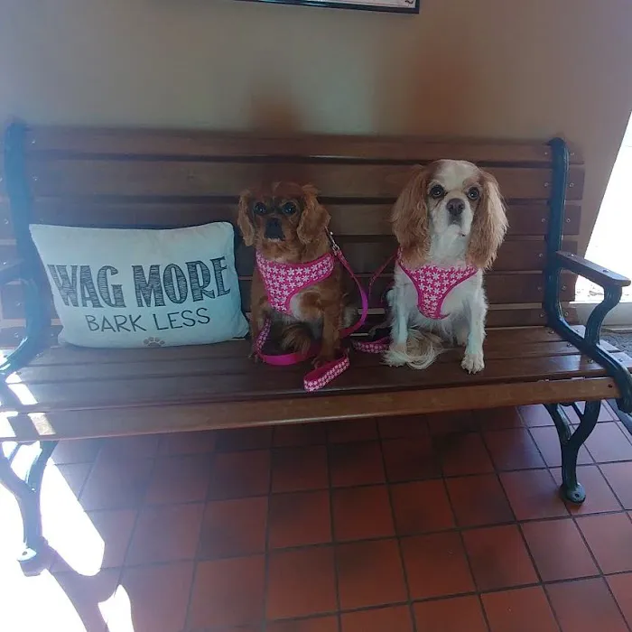 County Animal Hospital 12