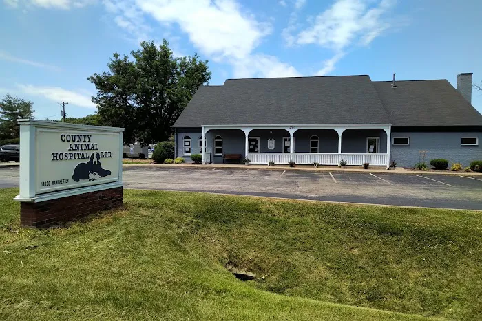 County Animal Hospital 12