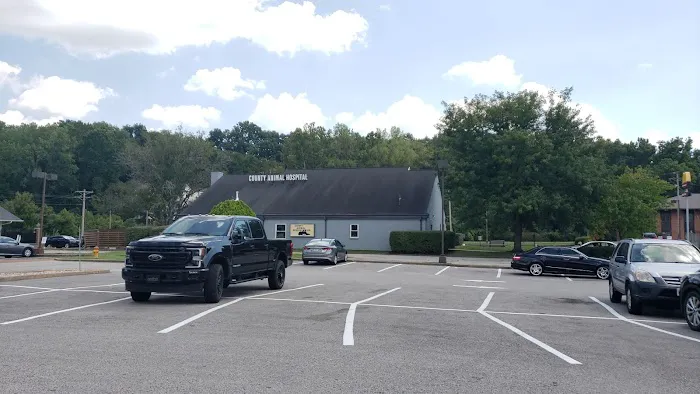 County Animal Hospital 12