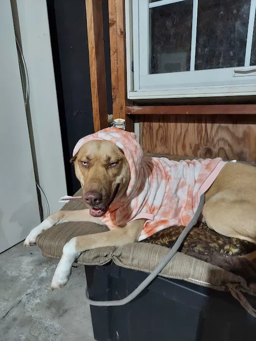 West County Animal Clinic 12
