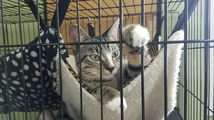 West County Animal Clinic 12