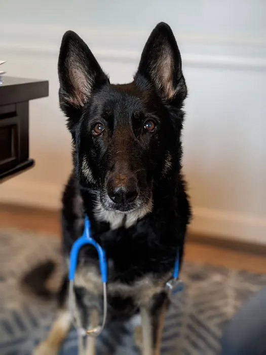 West County Animal Clinic 12